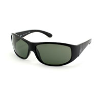 Ray-Ban RB 4110  online kaufen