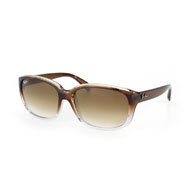 Ray-Ban RB 4161  online kaufen