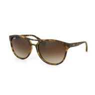 Ray-Ban Sonnenbrille RB 4170 865/13