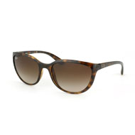 Ray-Ban RB 4167  online kaufen