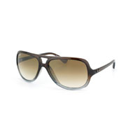 Ray-Ban RB 4162  online kaufen